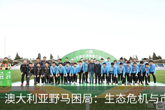 澳大利亚野马困局：生态危机与市场缺失的深层矛盾